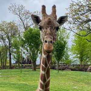 Meet your Posher, Jacqueline